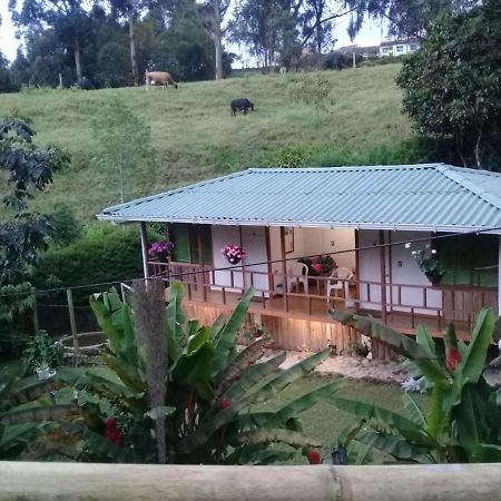 Hotel Selva Verde ซาเลนโต ภายนอก รูปภาพ
