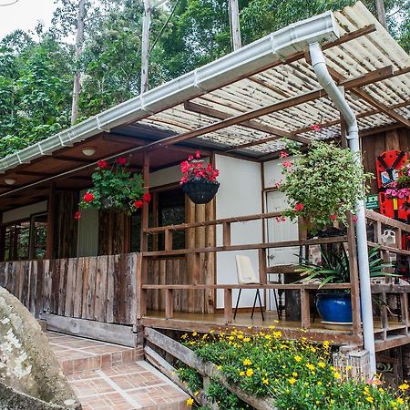 Hotel Selva Verde ซาเลนโต ภายนอก รูปภาพ
