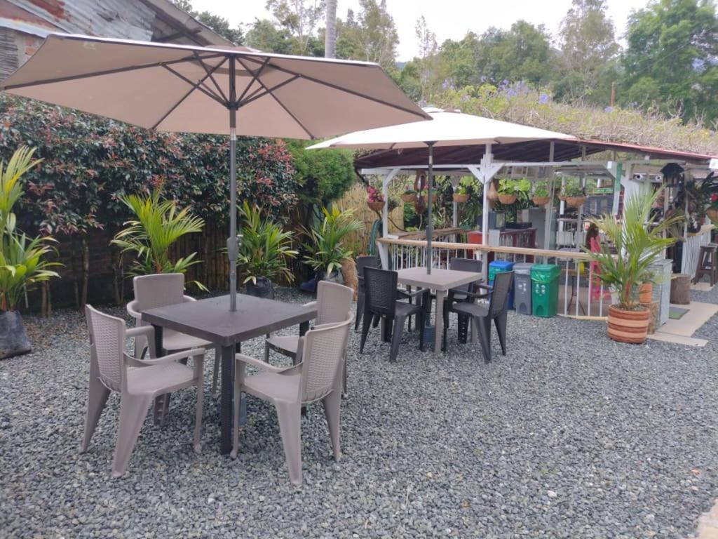 Hotel Selva Verde ซาเลนโต ภายนอก รูปภาพ