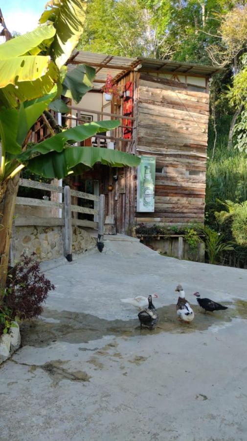 Hotel Selva Verde ซาเลนโต ภายนอก รูปภาพ