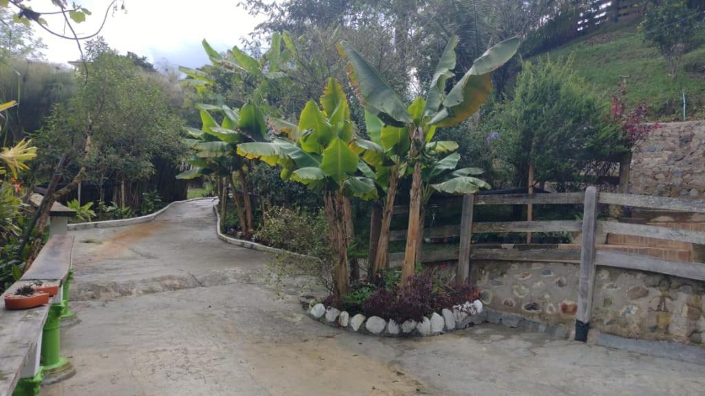 Hotel Selva Verde ซาเลนโต ภายนอก รูปภาพ
