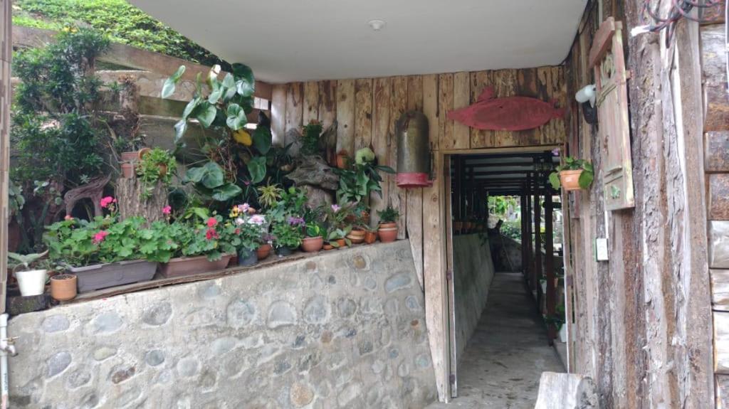 Hotel Selva Verde ซาเลนโต ภายนอก รูปภาพ