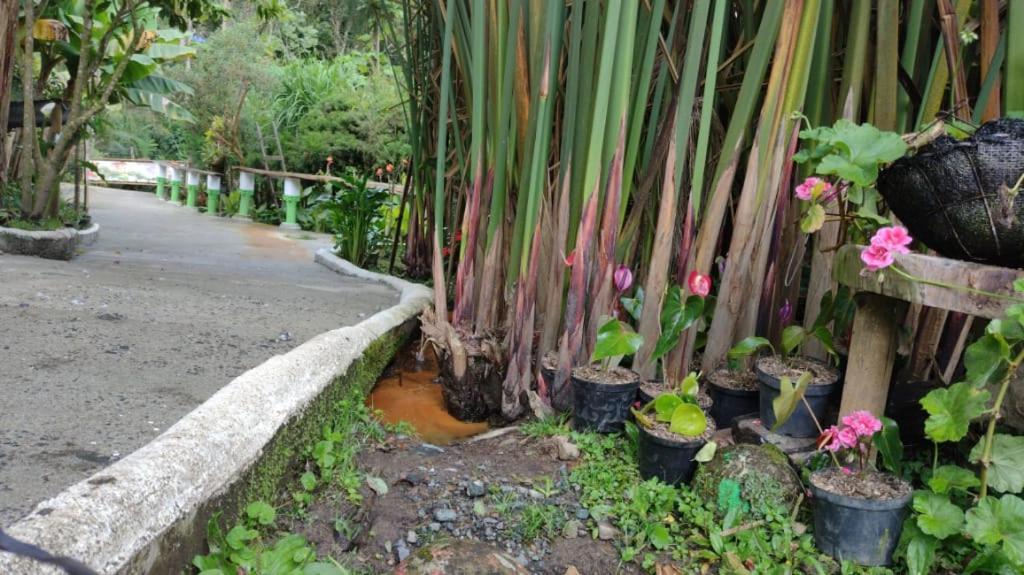 Hotel Selva Verde ซาเลนโต ภายนอก รูปภาพ