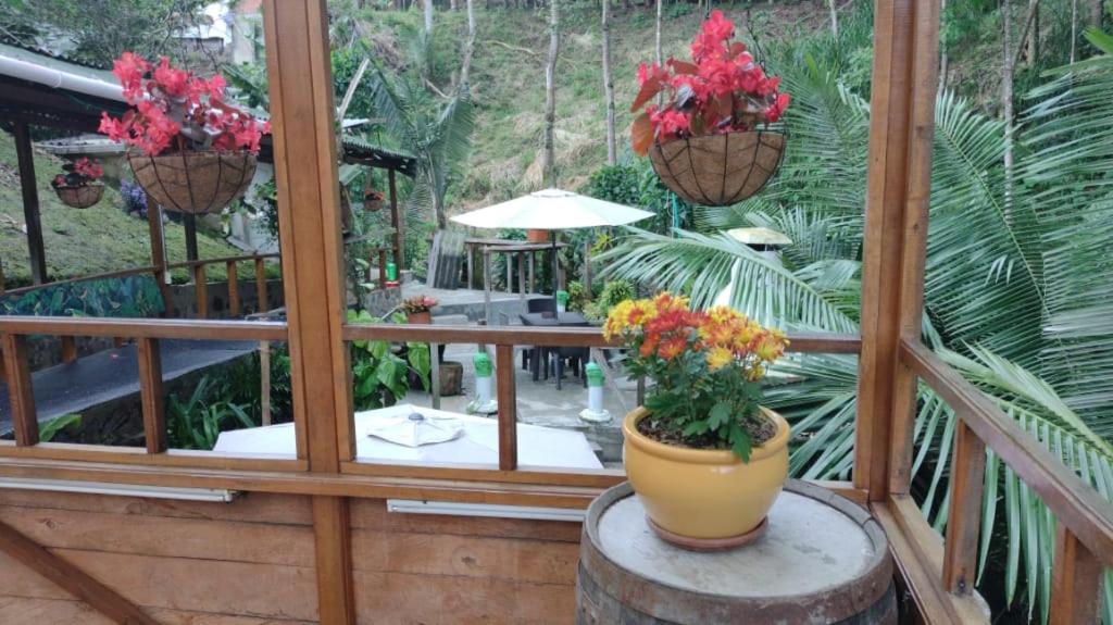 Hotel Selva Verde ซาเลนโต ภายนอก รูปภาพ